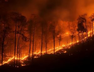 İsrail’de Şiddetli Orman Yangınları: Uluslararası Yardım Çağrısıyla Alarm Durumu